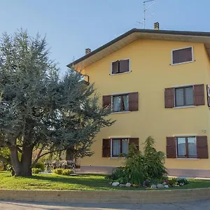 Pino Argentato Bussolengo